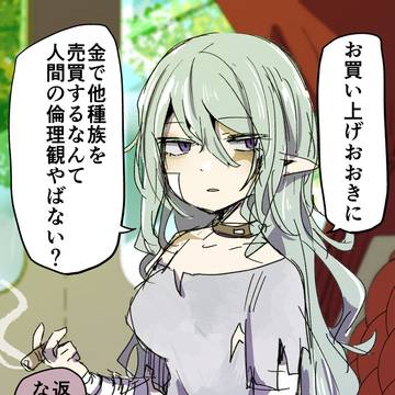 市場で買った奴隷エルフにオラつかれる