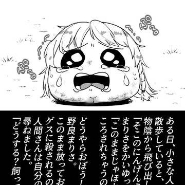 のらとかいゆ!