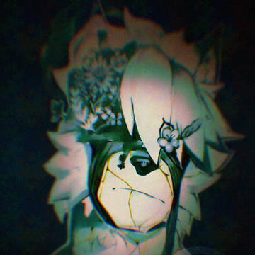 🐺🌺