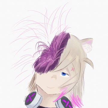 MOCOCO