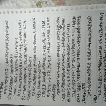 作者被关集中营了