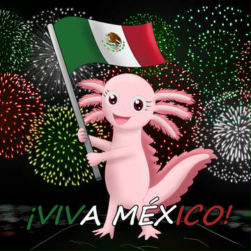 ¡Viva México!