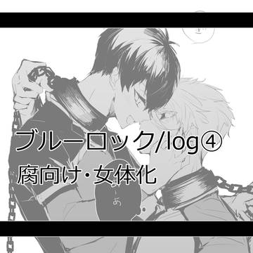 bll/log④