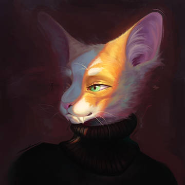 猫