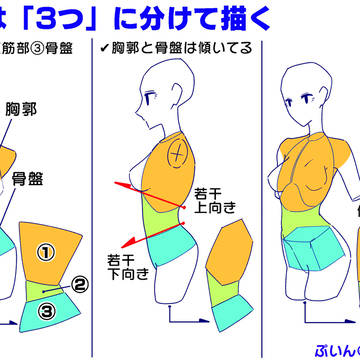 体の描き方【3つに分ける】
