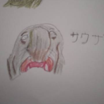 サウザー