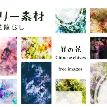 フリー素材21「小花散らし/白い花/韮の花」