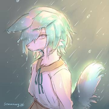 Morning Rain
