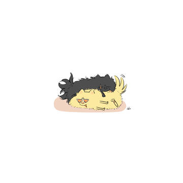 いぬ3