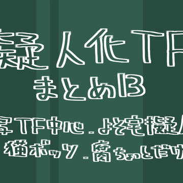 擬人化TF まとめ13