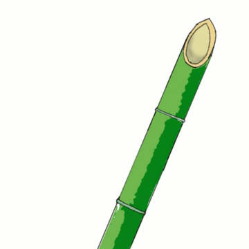 Japanese takeyari(bamboo spear)