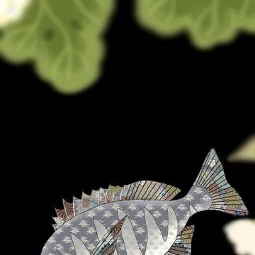 お魚シリーズNo.40 クロダイ 第2弾