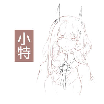 小特，大特与……