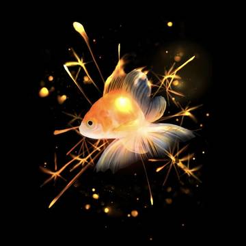 金魚などまとめ