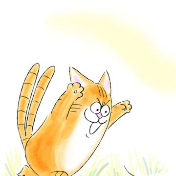 ねこまた日記