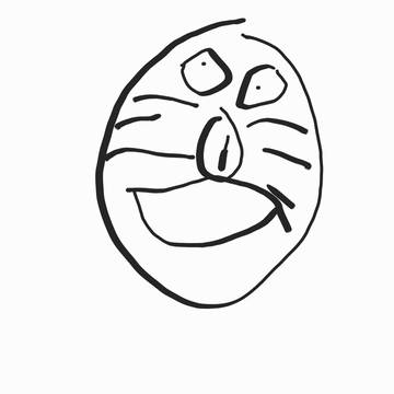 gato
