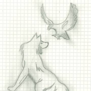 Drawing of a Wolf and Bird ~