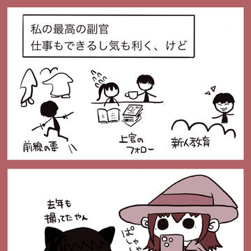 やっぱり猫が好き