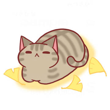 ちょっと涼しい日もある