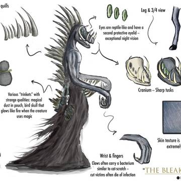 The Bleakwalker -- Final Concept