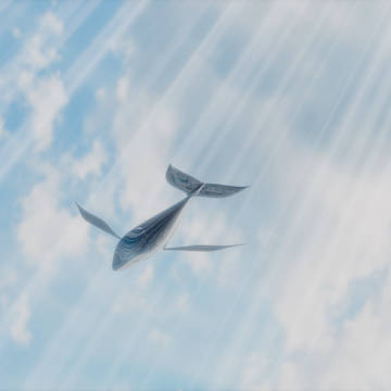 空飛ぶくじら