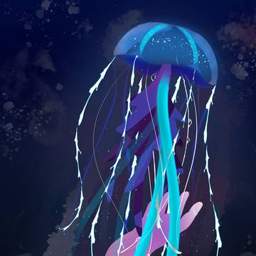 海月