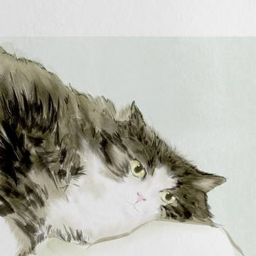最近の動物絵