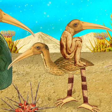 Thoth process