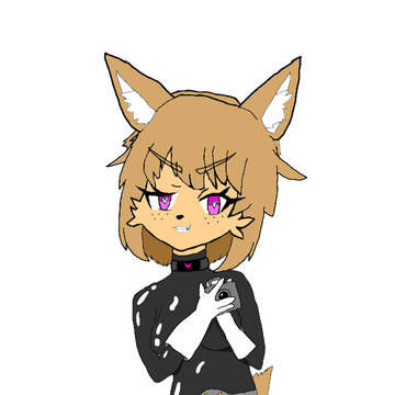 カメラマン戦闘員ちゃん
