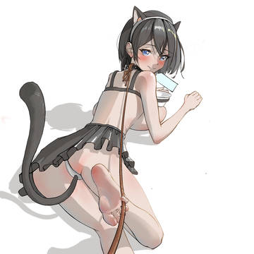 溜猫