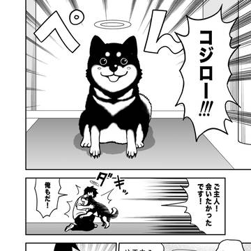 Page 8 thumbnail