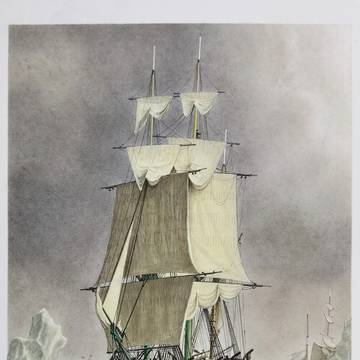 Whale-ship