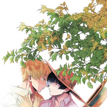 木陰と朝菊