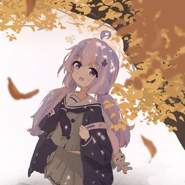 🍂