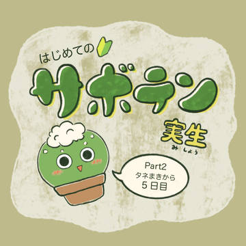ロホホラ実生記録Part2
