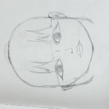 だれかしらない顔