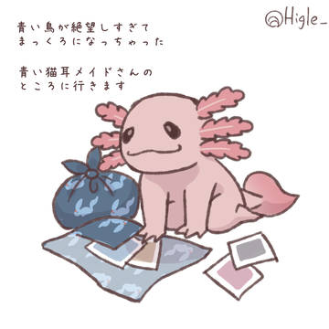 今日のウーパールーパー　まとめ