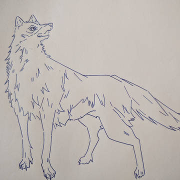 オオカミ🐺