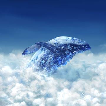 雲の海