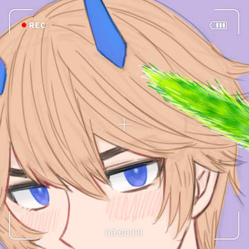 逗猫
