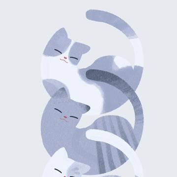 ねこ ねこ ねこ