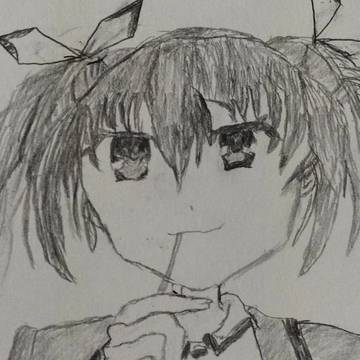 頑張った方です。