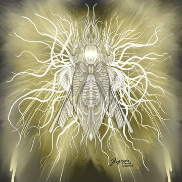 Thundermoth