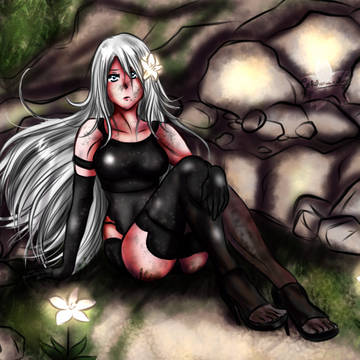 A2