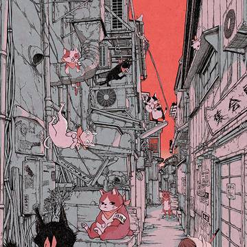 路地猫夜警