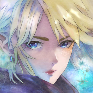 BotW　リンク