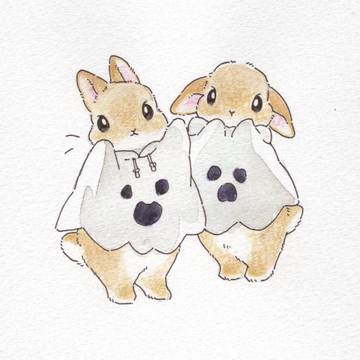 👻うさぎさんのHalloween🎃
