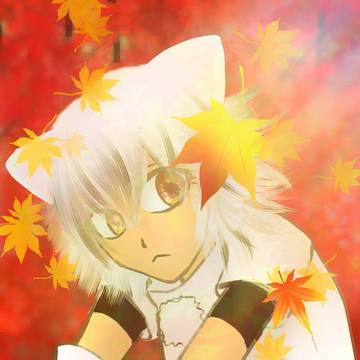 椛と紅葉