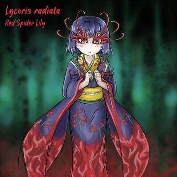 Lycoris radiata