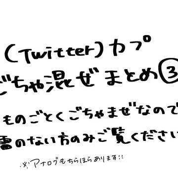 カプごちゃ混ぜまとめ③